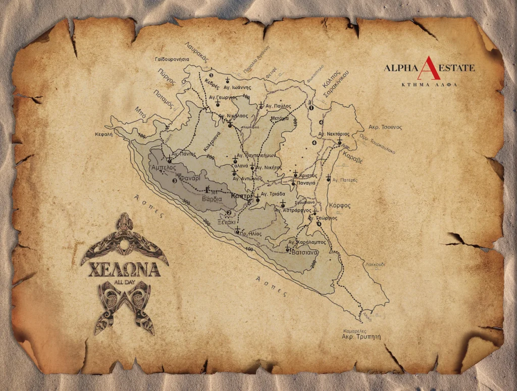 30X40-SOUPLA---XELONA---2024